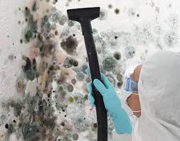 Best Attic Mold Removal  in St David, AZ